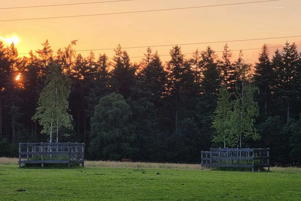03-weidegang-zonsondergang-weide-1200x800 Weide bij zonsondergang bij Stal van Westeneng