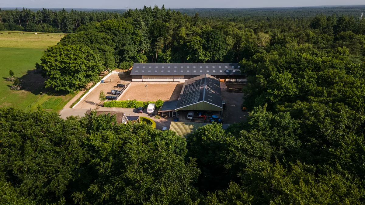 home-onder-03-terrein-bosrand-900x600 Luchtfoto van Stal van Westeneng aan de bosrand
