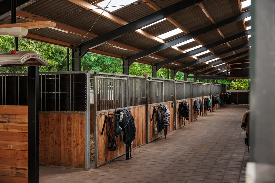 home-onder-02-stalgang-paarden-900x600 Stalgang met paarden bij Stal van Westeneng